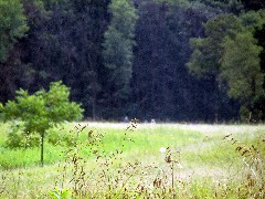 IAT; Lapham peak segment